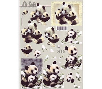 Pandas - Click to Enlarge
