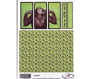 Chimpanzee - Click to Enlarge