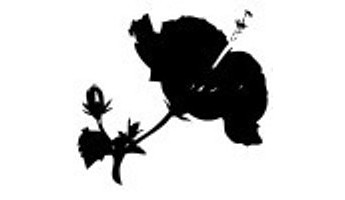ANITA'S RUBBER ART STAMP HIBISCUS SILHOUETTE  26557 - Click to Enlarge