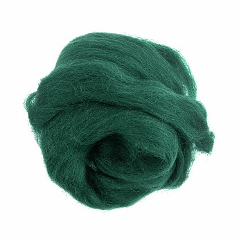 Natural Wool Roving 10g Grass Green - Click to Enlarge