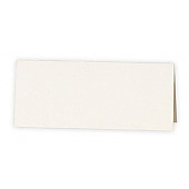 10 Place Cards in White or Ivory