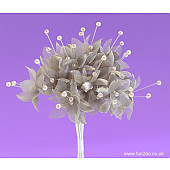 Grey Pearled Baby's Breath Flower  Button Hole.
